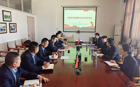 標題：銷售黨支部召開組織生活會暨民主評議黨員會議
瀏覽次數(shù)：355
發(fā)表時間：2025-02-26