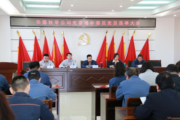 5、黨員大會(huì)_副本.jpg